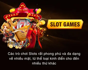 Đội ngũ lãnh đạo V1888